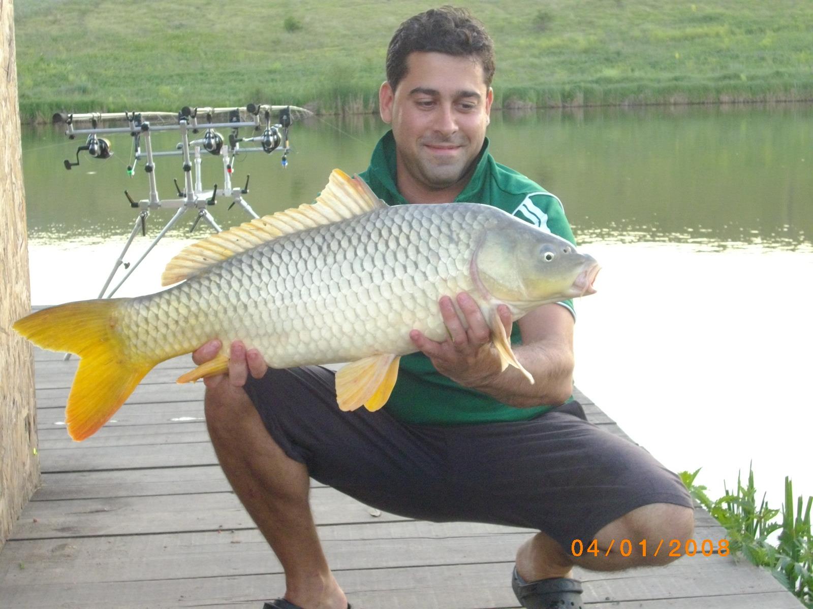 EU si pestii(like Batranul si marea!!!) - IMGP4430.JPG